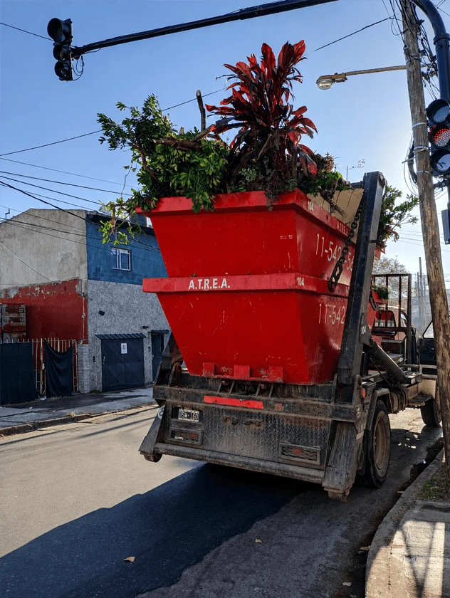 Volquete para poda de árboles y retiro de ramas y plantas en Zona Norte